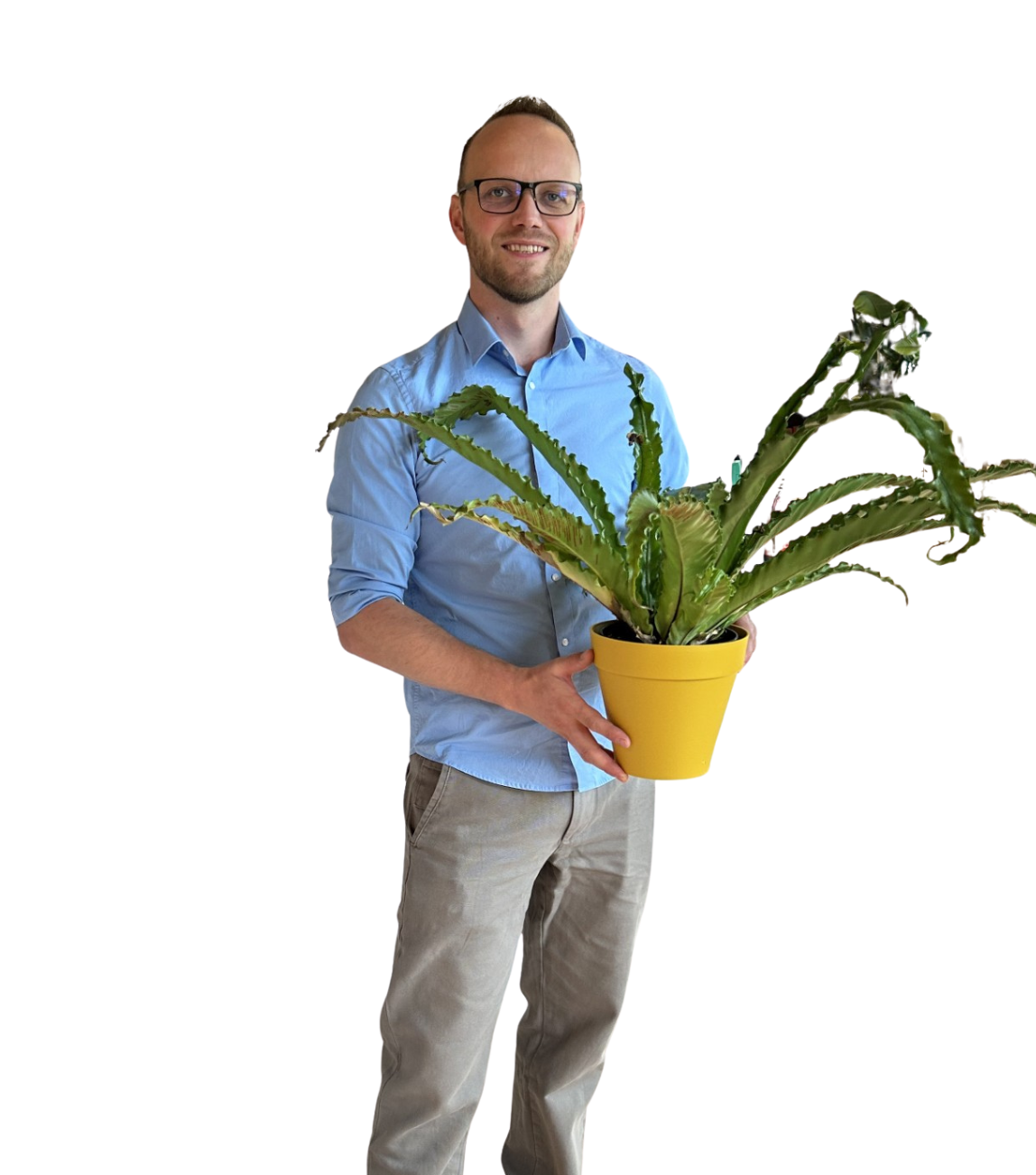 Coen van der Gaag