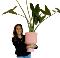 Birgit Coenjaars