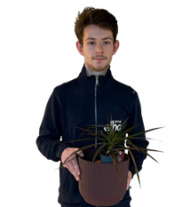 Darius Dumitru