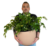 Djim Struijs