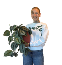 Jolijn Verbraeken