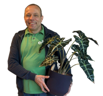 Liviu Schiopu