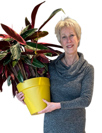 Marieke Ceelaert
