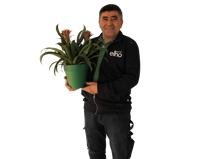 Bektas Atasever