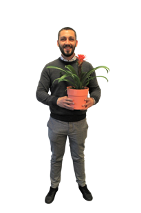 Daniele Bertolino