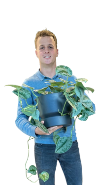 Stijn Hamers
