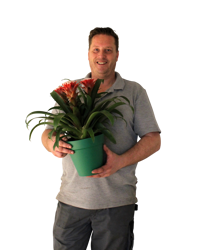 Dennis Haans