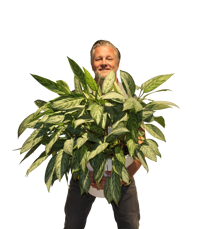 Paul Cools