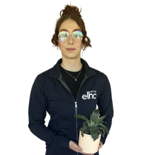 Wiktoria Gwizdala